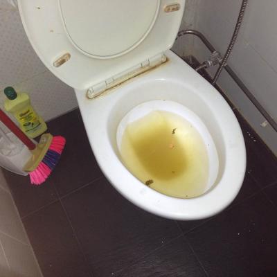 C 3. Clear Wc Choke